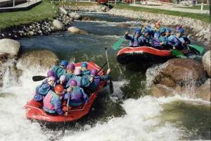 Afbeelding uit fotogalerij van Apartseu in La Seu d'Urgell