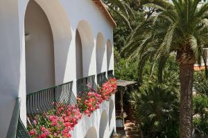 a white fence with pink flowers and a palm tree at Hotel Della Piccola Marina in Capri