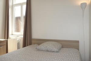 Schlafzimmer mit einem Bett mit einem Kissen und einem Fenster in der Unterkunft Maison Victor Hugo in Lille