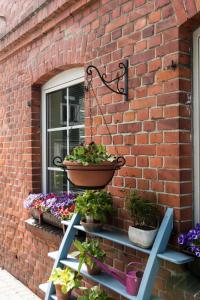 Galeriebild der Unterkunft Frühstückspension Landhaus Lange in Prerow