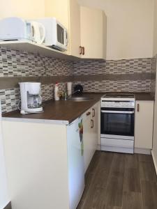 a kitchen with a sink and a stove top oven at Weninger Studio Apartman in Kiskunhalas