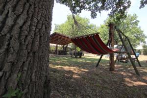 Fotografie z fotogalerie ubytování Casa Vacanze Le Querce v destinaci San Severino