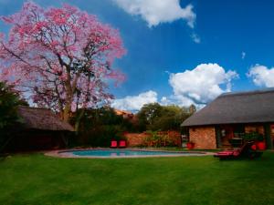 a tree with pink flowers next to a house at African Footprints Lodge in Midrand