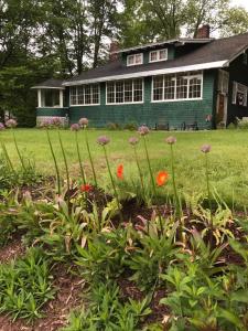 
a garden filled with lots of plants next to a house at Wilderness Inn Bed and Breakfast in North Woodstock
