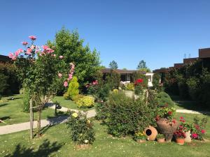 Gallery image of Riva's Club Hotel in Polonezkoy