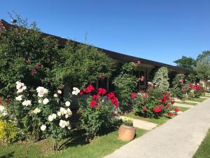 Gallery image of Riva's Club Hotel in Polonezkoy