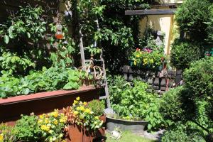 Zahrada ubytování Spreewald Ferienwohnung Lübben