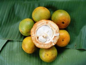 a pile of fruit on a green leaf at Princess Salme Inn in Zanzibar City