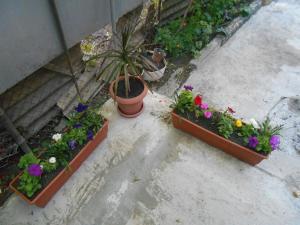 Giardino di Guesthouse on Benashvili