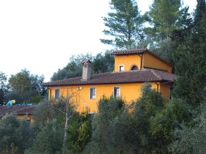 a yellow house on the side of a hill at Poggio delle Capre in San Miniato