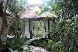 Bilde i galleriet til Raintree Lodge i Port Moresby