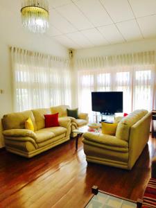 TV a/nebo společenská místnost v ubytování Single Tree Hotel