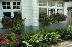 un jardin avec des fleurs et des plantes devant un bâtiment dans l'établissement B&B Le Maquis, au Coq