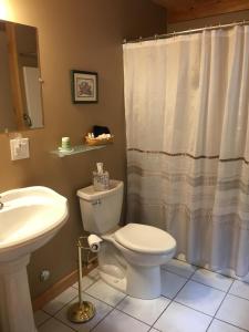 a bathroom with a toilet and a sink at Blueberry Fields Bed & Breakfast in Jefferson