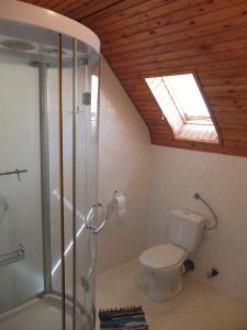 een badkamer met een douche en een toilet met een dakraam bij Osho Vendégház in Tiszafüred