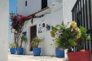 um grupo de vasos de plantas em frente a um edifício em El Cobijo de Vejer em Vejer de la Frontera