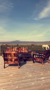a group of benches sitting on a deck with a field of horses at Akurgerði Guesthouse 2 - Country Life Style in Ölfus