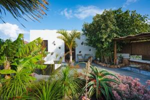 Gallery image of Finca Botanico Garden Apartment in Guatiza