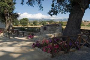 a park with benches and flowers next to a tree at La Casa nella Prateria in Altomonte