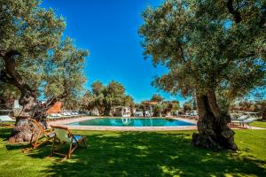 a swimming pool in a yard with a tree at Masseria Il Frantoio in Ostuni