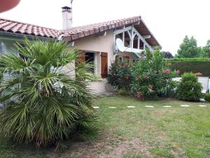 a house with two palm trees in a yard at Le Soleil Couchant in Angresse