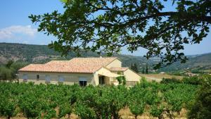 una casa en una colina con un viñedo en Gîte Vigneron du Domaine d'Alon, en Magrie