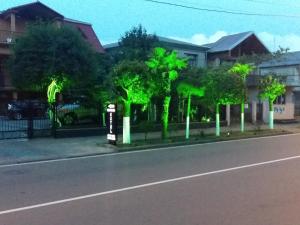 Φωτογραφία από το άλμπουμ του Hotel Estonia Two σε Kobuleti