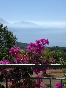un montón de flores púrpuras en una valla en B&B Anna Maria, en San Giovanni a Piro