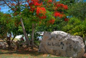 Gallery image of Shoal Bay Villas in Shoal Bay Village