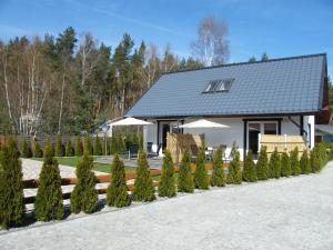 dom z rzędem drzew przed nim w obiekcie Apartamenty Amalia w mieście Szary Dwor