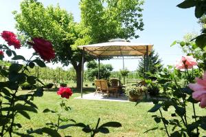 A garden outside Poderi Sartoris