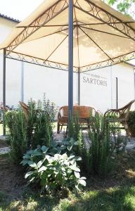 A garden outside Poderi Sartoris