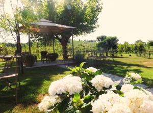 A garden outside Poderi Sartoris