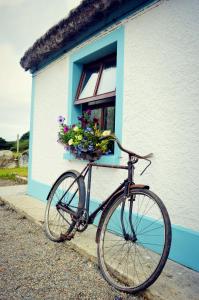 a bike parked in front of a house with a basket of flowers at Biddys Cottage in Culdaff