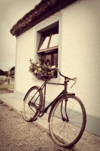 ein Fahrrad, das vor einem Gebäude mit einem Blumenkorb geparkt ist in der Unterkunft Biddys Cottage in Culdaff
