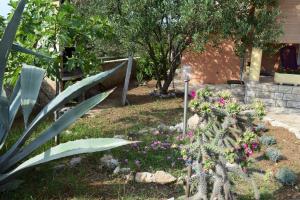 Vonkajšia záhrada v ubytovaní Vodice Family Apartment