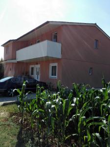 a house with a car parked in front of it at Apartment Kisic in Fažana