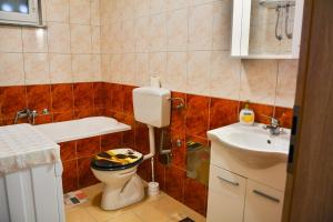 un baño con inodoro y lavabo en Apartment Petra, en Senj 19 fotos más