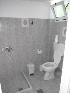 een badkamer met een toilet en een douche bij Dimitris Apartments in Vasiliki