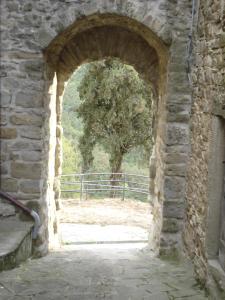 an archway in a stone wall with a tree in the background at Castello di Sarna in Chiusi della Verna