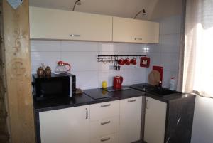 Kuchyň nebo kuchyňský kout v ubytování Apartament Góralski