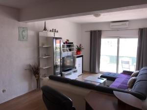 TV a/nebo společenská místnost v ubytování Apartment Nela