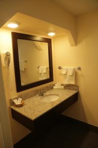 a bathroom with a sink and a mirror at Budget Inn - Washington in Washington