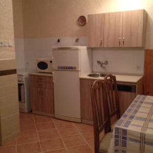 a kitchen with a white refrigerator and a sink at Garabuczi Apartman in Keszthely