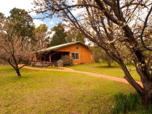 a house in a field with a dirt road in front at Pilliga Pottery Creative Farmstay in Coonabarabran