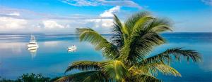 uma palmeira e um barco na água em Silver Seas Hotel em Ocho Rios