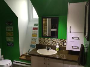 a green bathroom with a sink and a toilet at La Maison des Éboulis in Victoriaville +56 photos