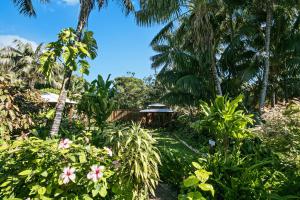 a garden filled with lots of plants and trees at Lorhiti Apartments in Lord Howe