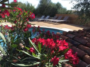 a pool with chairs and red flowers in a yard at Le moulin de Figari, oil mill & pool in Figari