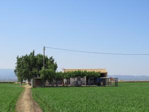 una casa en medio de un campo verde en Caseta Montanyana, en Deltebre